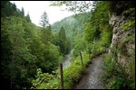 Wutachschlucht