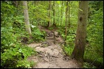 Wutachschlucht