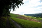 Auf dem Weg nach Riedöschingen