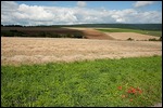 Landschaft