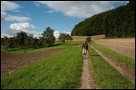 Auf dem Weg nach Riedöschingen