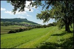 Hegau