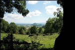 Hegau