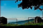 Blick vom Hegau auf die Alpenkette der Schweiz