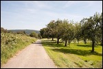 Etappe 7: Von Singen nach Möggingen