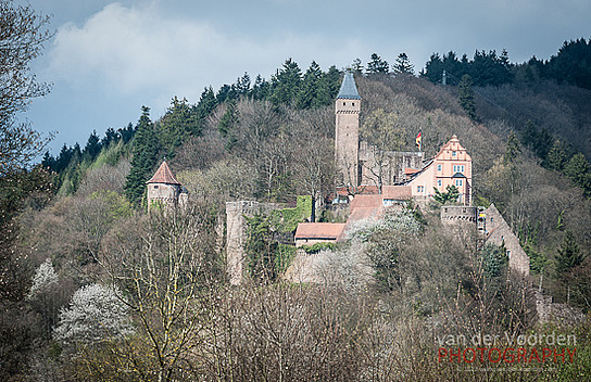 Burg Hirschhorn