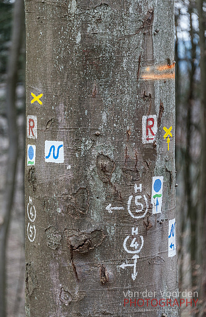 Der Weg nach Nirgendwo