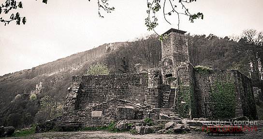 Hinterburg in Neckarsteinach