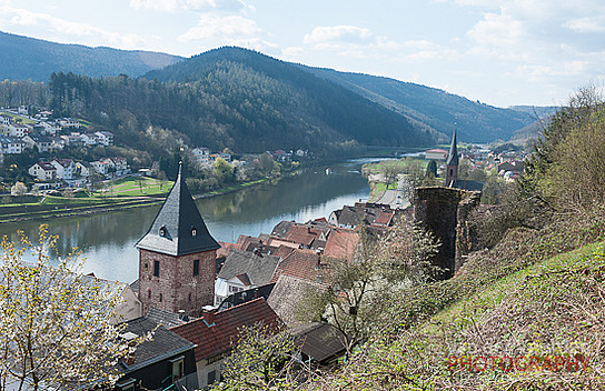 Blick auf Hirschhorn & Ersheim
