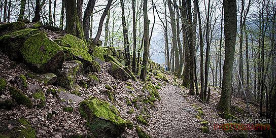Kurz vor der Teufelskanzel