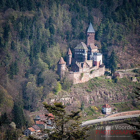 Blick auf Burg Zwingenberg