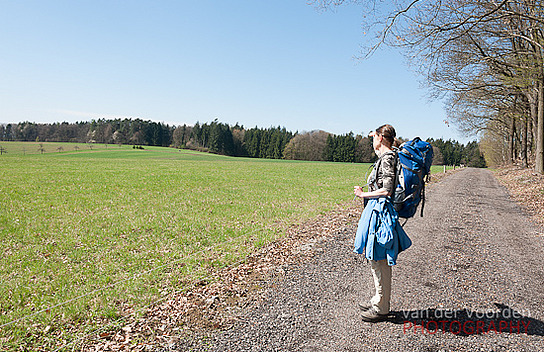 Blick auf n&auml;chstes Bild