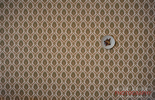 Mustertapete von 1950 mit Sch&auml;ferhundteller