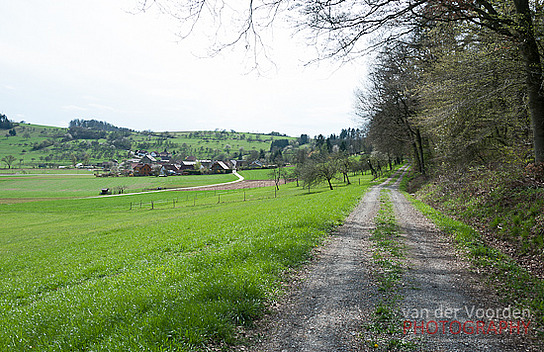 Weg nach Neckarkatzenbach