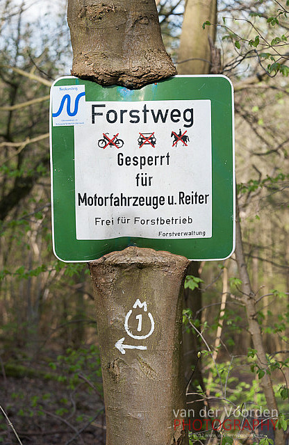 Baum frisst Schild