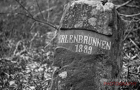 Am Erlenbrunnen