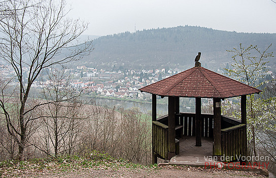 Blick auf Neckargemünd