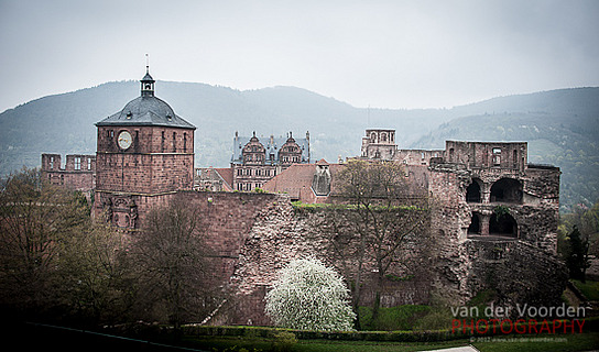 Das Schloss Heidelberg (Rückansicht)