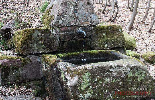 Der Erlenbrunnen