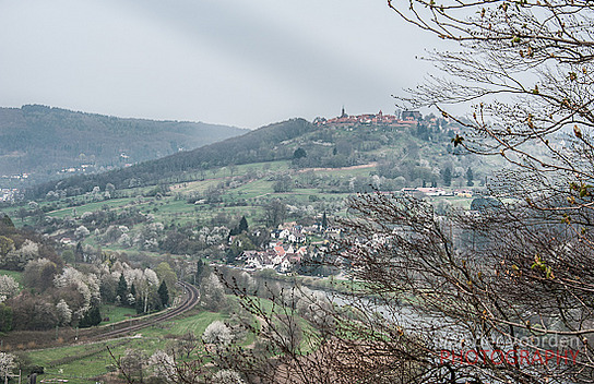 Dilsberg