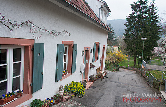 Neckargemünd