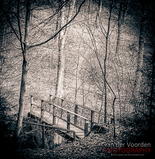 Steg im Tal und Pfad zum Dilsberg