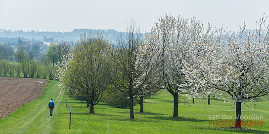 Am Golfplatz