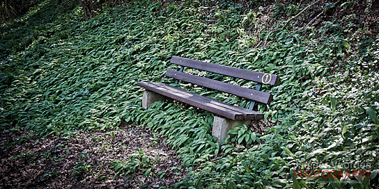 Blätterbank