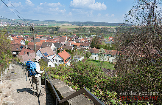 Blick auf Heinsheim