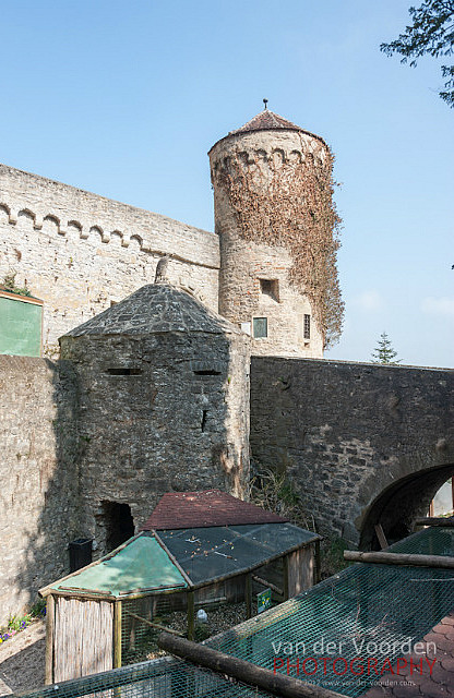 Burg Guttenberg