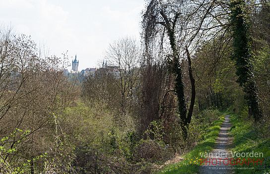 Zielgerade