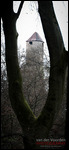 Burg Hornberg