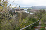 Schloss Horneck - Abstieg nach Gundelsheim