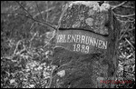 Am Erlenbrunnen