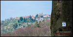Blick auf den Dilsberg