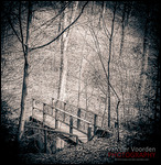 Steg im Tal und Pfad zum Dilsberg