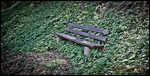 Blätterbank