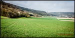 Blick auf Burg Guttenberg