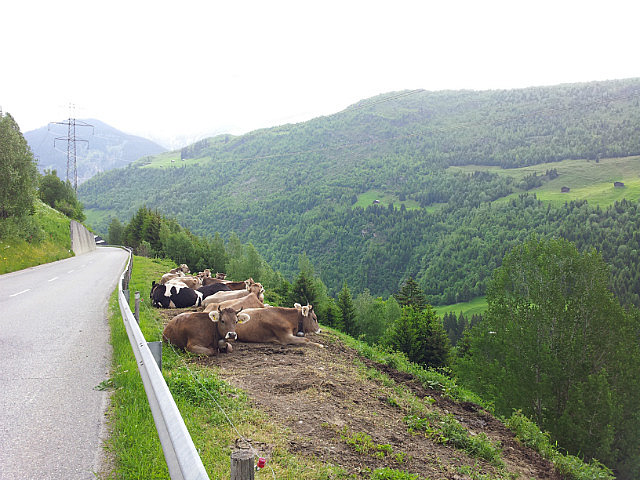 Sedrun