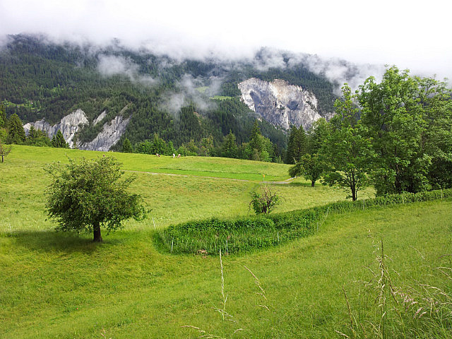 Rheinschlucht