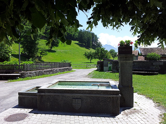 Heidi Brunnen