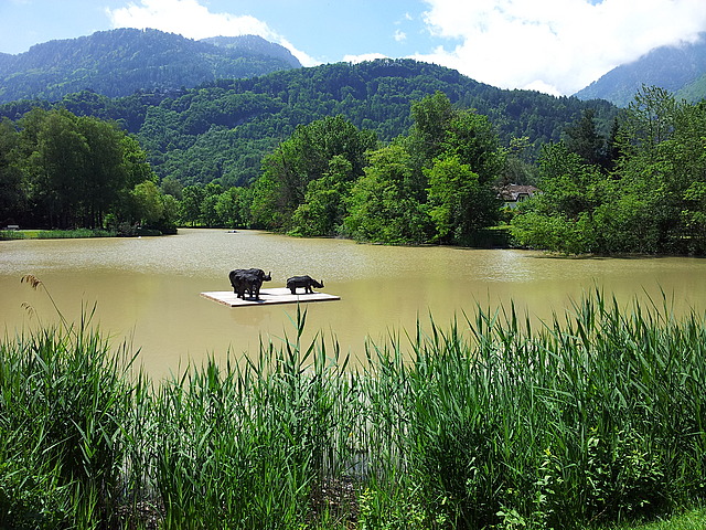 Park in Bad Ragaz