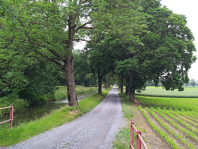 Rheinradweg