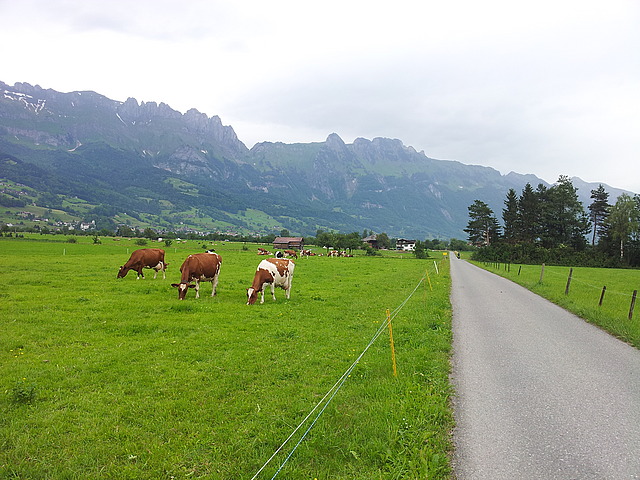 Auf dem Weg zum Bodensee