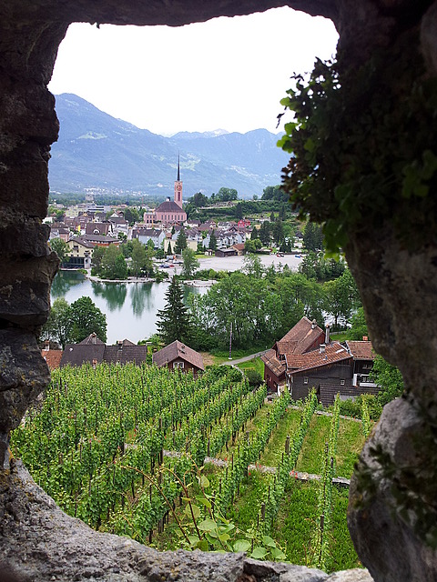 Blick von Schloss Werdenberg auf Buchs
