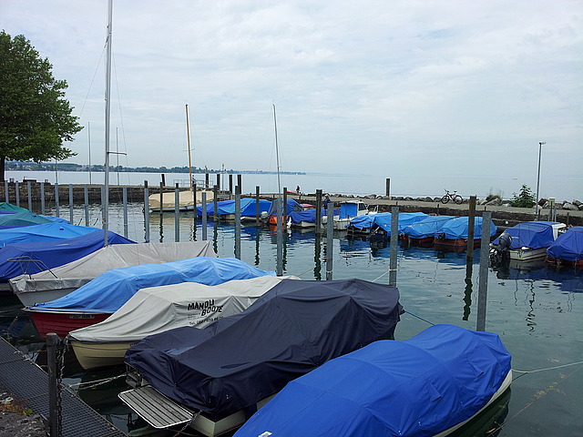 Hafen am Bodensee