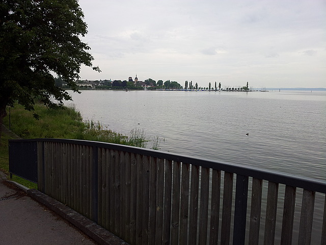 Rheinradweg am Bodenseeufer