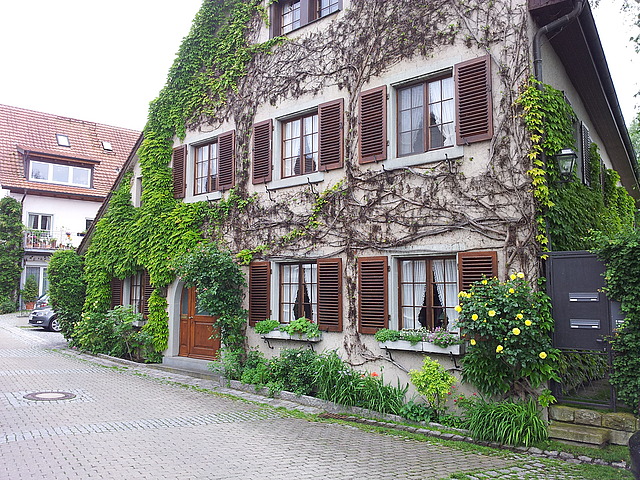 Noch in Konstanz