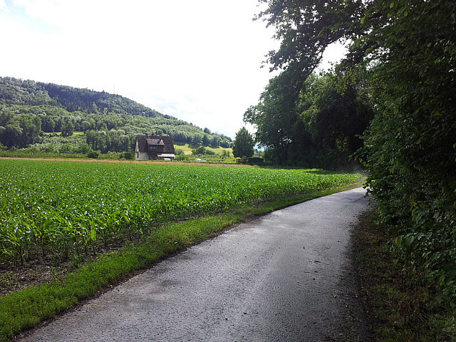 Rheinradweg