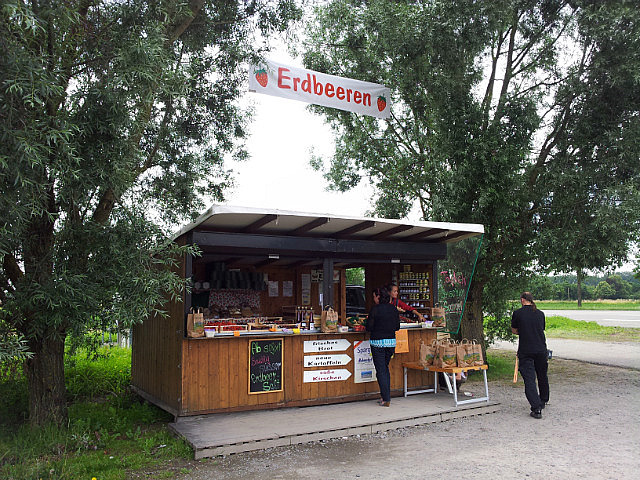 Unsere Erdbeerpause